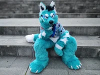 Starfly Wolf Fursuit