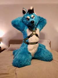 Starfly Wolf Fursuit