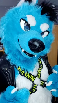 Starfly wolf Fursuit