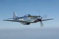 P-51 D Mustang