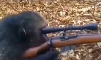 Sniper monkey