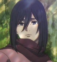 Mikasa - AOT