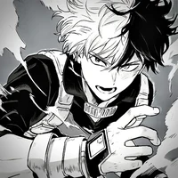 Shoto Todoroki 