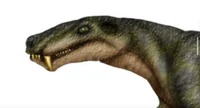 Cyonosaurus