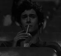 Seth cohen 