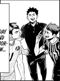 Iwaizumi and Oikawa 