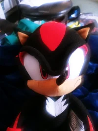 Shadow the Hedgehog
