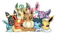Eevelution Sleepover