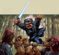 Unnamed Ewok Jedi