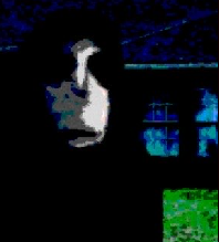 Silhouette - smlwiki