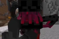 Assimilated Enderman