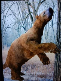 Giant ground sloth 
