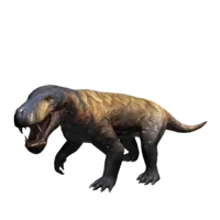 Gorgonops
