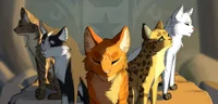 Warrio Cat Royal