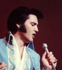 Talk with Elvis 