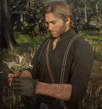 Arthur Morgan