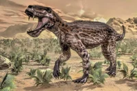 Lycaenops