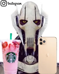 Instagram grievous