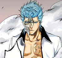 Grimmjow Jaegerjaque
