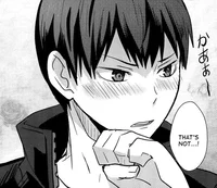 Tobio Kageyama 