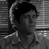 Seth cohen 
