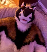 Slate Akita Fursuit 