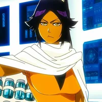 Yoruichi Shihouin 