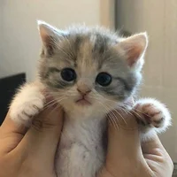 СААААААШКА