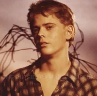 ponyboy curtis