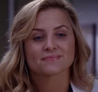 Arizona Robbins