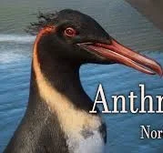 Anthropornis 
