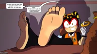 Charmy Bee Feet