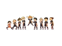 The Karasuno Team