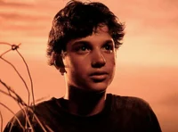 johnny cade