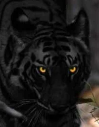 Longhu Ying - Lmk OC