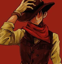 Cowboy Luffy