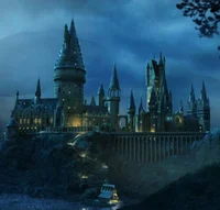 Harry potter RP