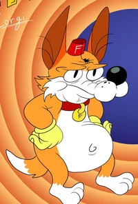 Feyton corgi