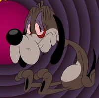 Bloodhound joe