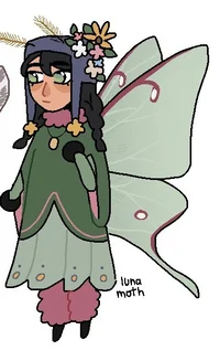 Luna moth Fem Craig
