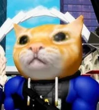 Captain Stronkcat