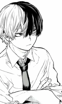 Shoto Todoroki 