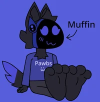 Muffin with big paws