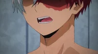 Shoto Todoroki