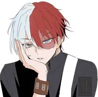 Shoto Todoroki 