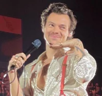 Harry styles 