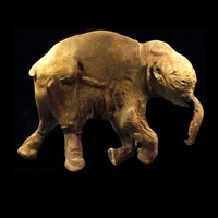 Extinct Resurrection