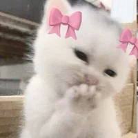 00 - read for cookie