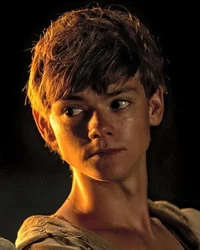 Newt