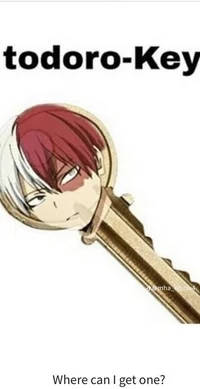 Shoto Todoroki